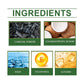 Charcoal Facial Cleanser for Oil Control and Moisture
