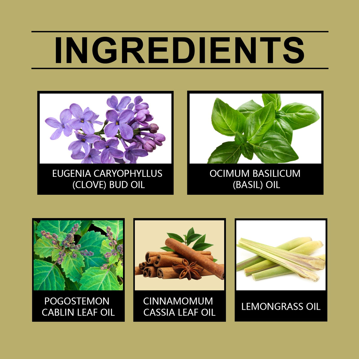 Firming Body Essence Oil for Moisturizing Massage Care