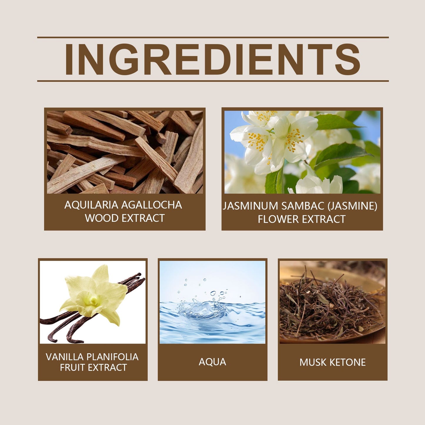 Wood Fragrance Eau De Toilette with Fresh Oriental Scent
