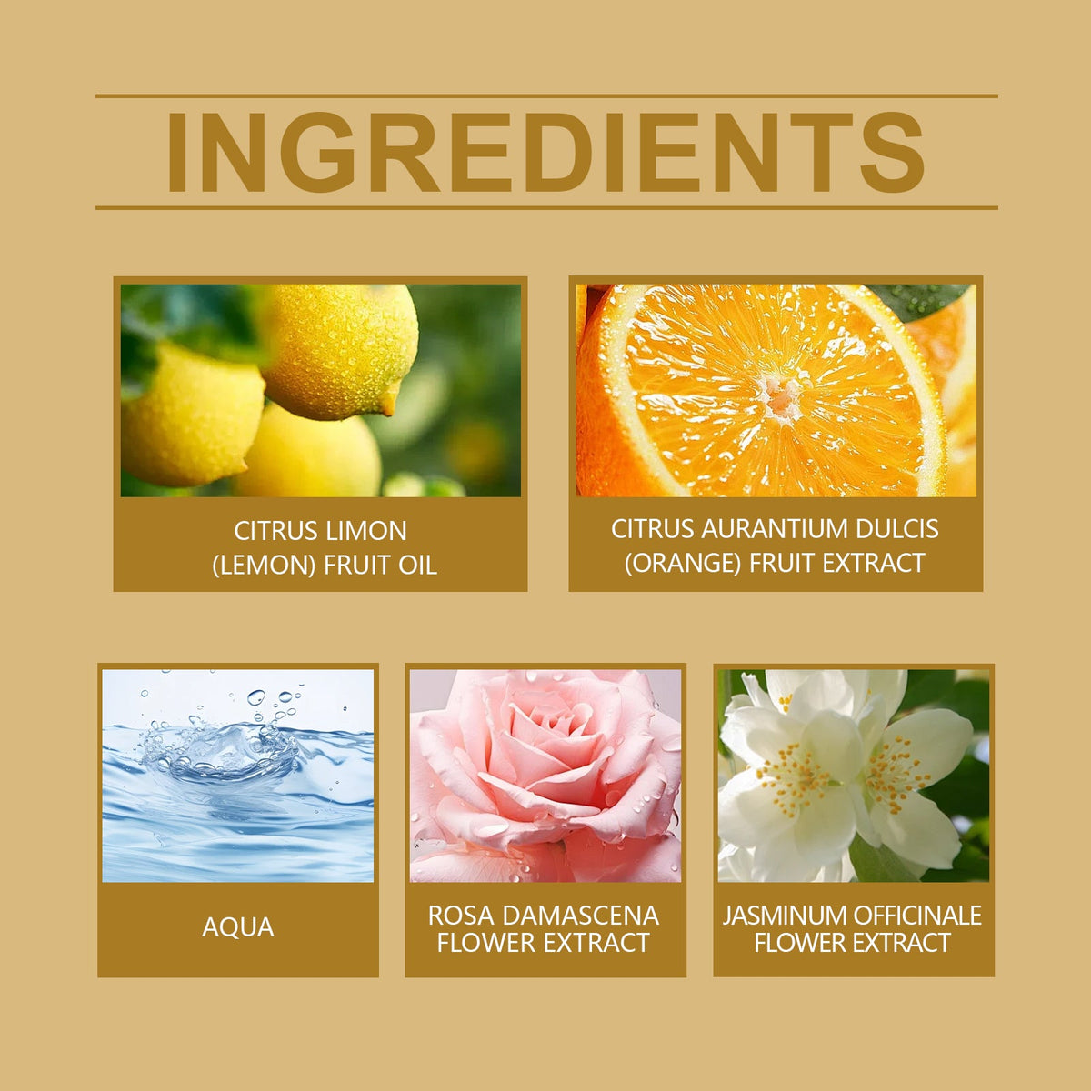 Charm Cologne with Fresh Light Elegant Fragrance