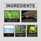 Strong Cologne Body Spray with Elegant Plant Extract Scent