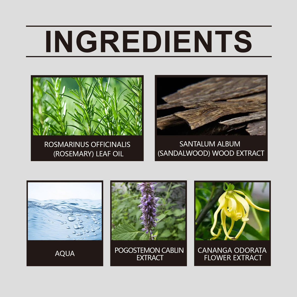 Strong Cologne Body Spray with Elegant Plant Extract Scent