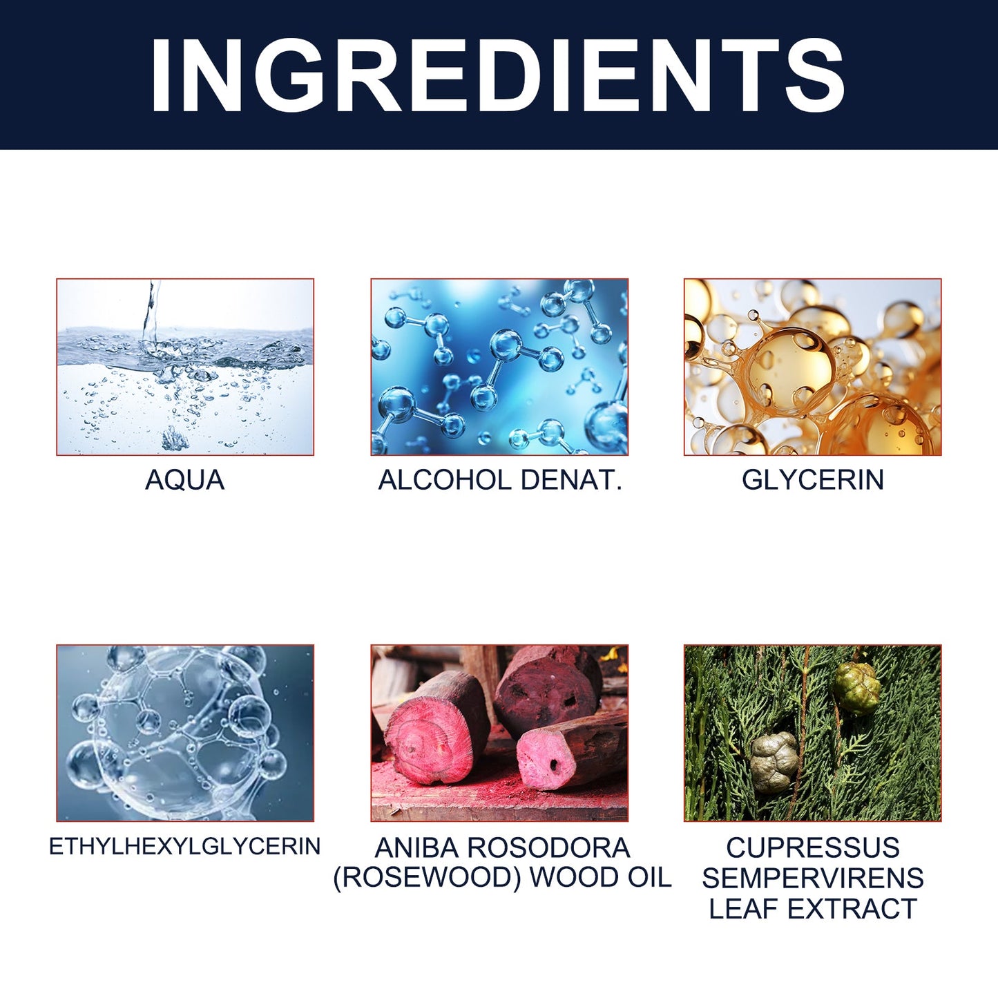Men’s Cologne with Fresh Natural Elegant Fragrance