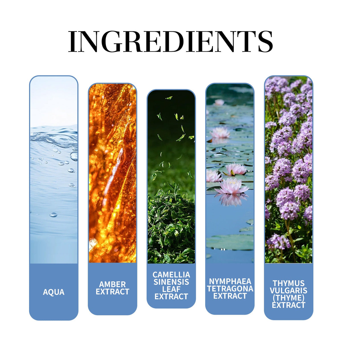 Magnetic Men Perfume with Fresh Tea Fragrance Scent