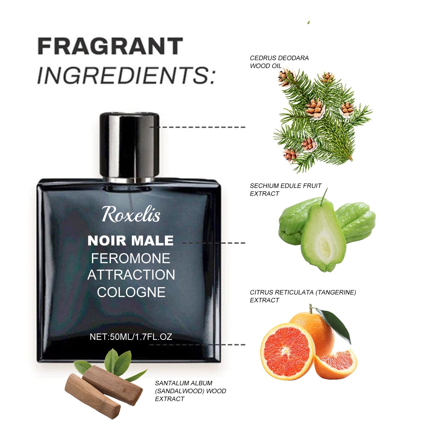 Noir Male Cologne with Fresh Long-Lasting Fragrance
